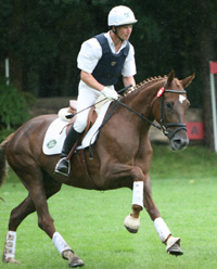 DONJA v. D'Olympic x Meerwirbel xx - erfolgreichstes 7-jähriges Mecklenburger Vielseitigkeitspferd. Foto: Wego